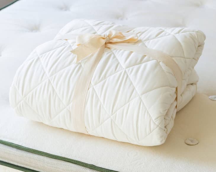 Organic cotton deals pillow protector